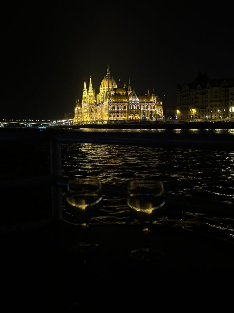 Crociera serale sul Danubio a Budapest